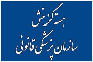 هسته گزینش