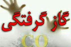 کاهش تلفات مسمومیت با گاز در پنج ماهه امسال