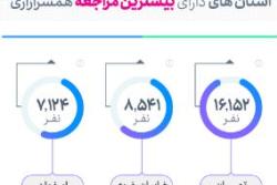 اینفوگرافی مراجعین همسرآزاری در سال 1396