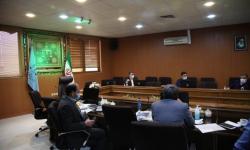 دیدار نمایندگان استان گلستان با رییس سازمان
