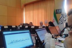 تأکید کمیسیون بهداشت مجلس برای ورود در موضوع داروهای تقلبی چاقی و لاغری